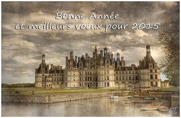 Chambord #1368 - Voeux 2015