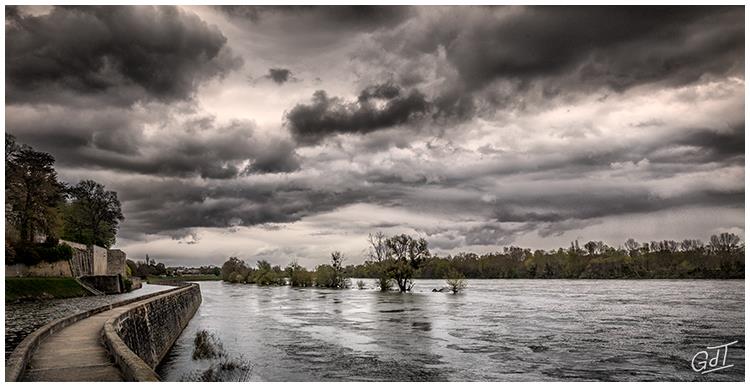 St Jean de Braye - Bords de Loire #10125