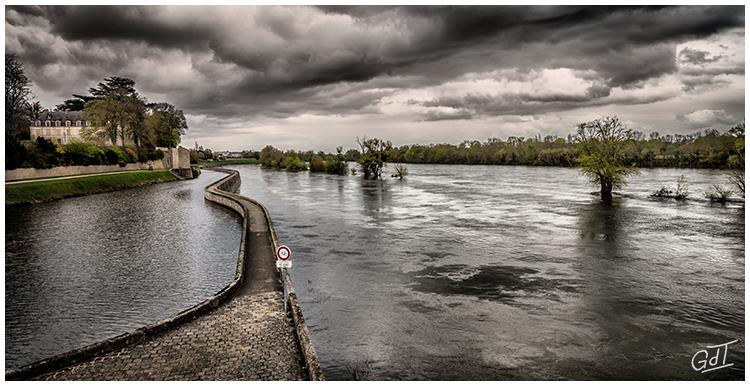 St Jean de Braye - Bords de Loire #10178